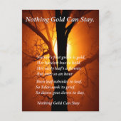 太陽の後ろ ポストカード (正面)