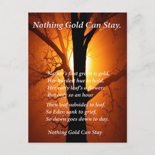 太陽の後ろ ポストカード (正面)