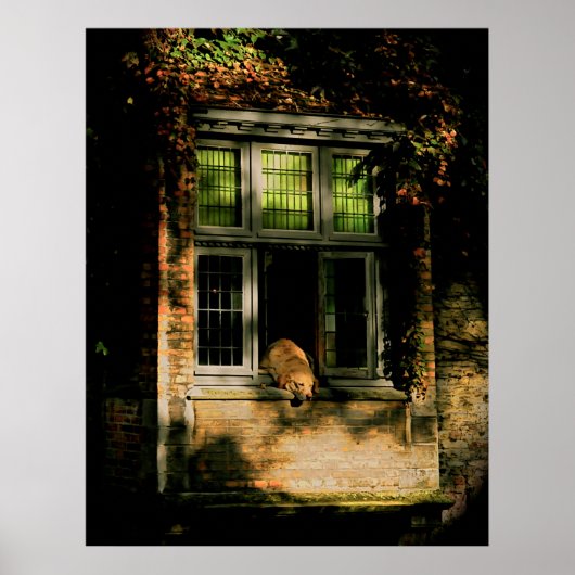 太陽の昼寝II ポスター (正面)