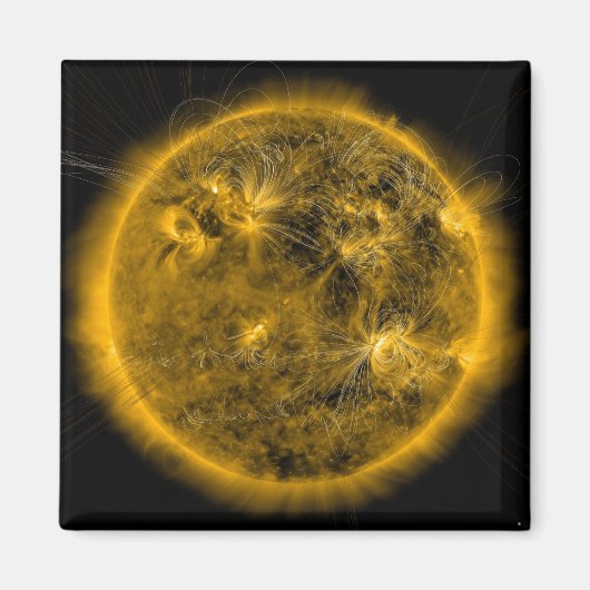 太陽の磁力線 マグネット (正面)