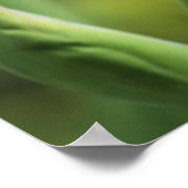 太陽の紫の虹彩 ポスター (角)