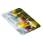 太陽の赤、黄、ピンクのチューリップやる気を起こさせる マグネット (右側)