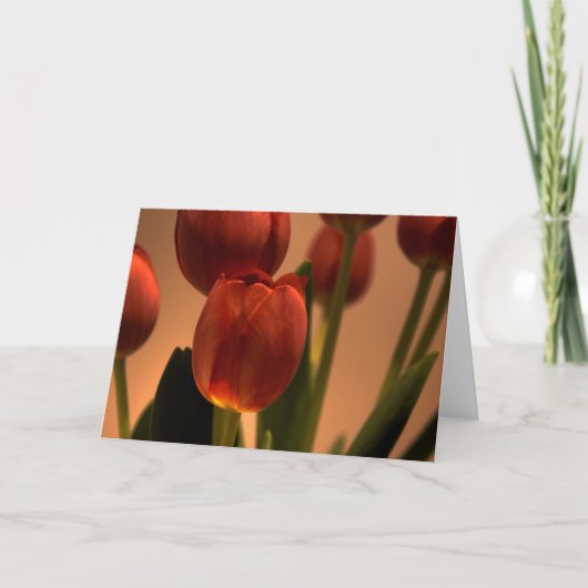 太陽の降下 サンキューカード (正面)