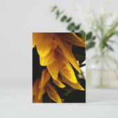 太陽の降下 ポストカード (スタンド正面)