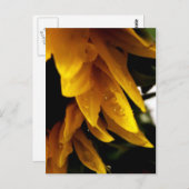 太陽の降下 ポストカード (正面/裏面)