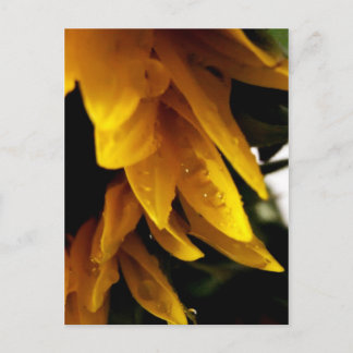 太陽の降下 ポストカード