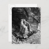 太陽の馬に水を与える旅行 ポストカード (正面/裏面)