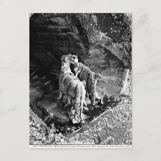 太陽の馬に水を与える旅行 ポストカード (正面)