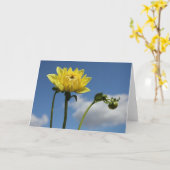 太陽の黄色いダリアの花 カード (黄色い花)