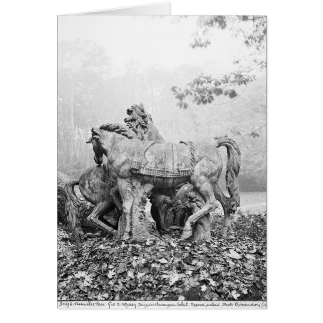 太陽の2頭の馬に手入れをするトリトン (正面)