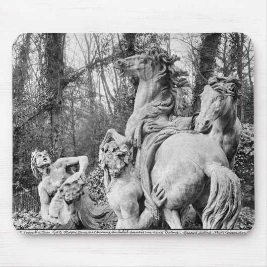 太陽の2頭の馬に手入れをするトリトン マウスパッド (正面)