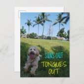 太陽はOUT2をスタカットに奏します 案内ポストカード (正面/裏面)