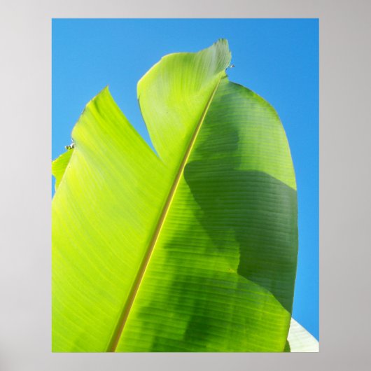 太陽への到達 ポスター (正面)