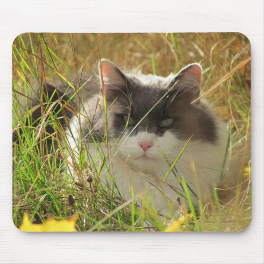 太陽を手に入れる。 マウスパッド (正面)