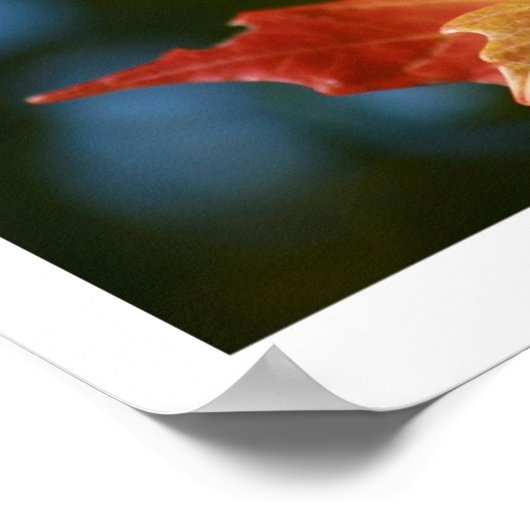 太陽を浴びる ポスター (角)