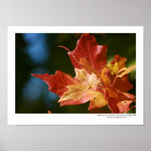 太陽を浴びる ポスター (正面)