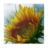 太陽を見ながら タイル (正面)