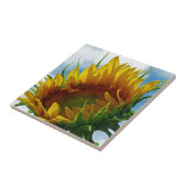 太陽を見ながら タイル (側面)