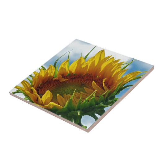 太陽を見ながら タイル (側面)