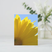 太陽オン花びら ポストカード (スタンド正面)