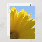 太陽オン花びら ポストカード (正面/裏面)