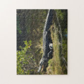 太陽フロリダのアリゲーター ジグソーパズル (縦)