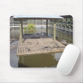 太陽マウスのパッドに乗ったワニ マウスパッド (マウス)