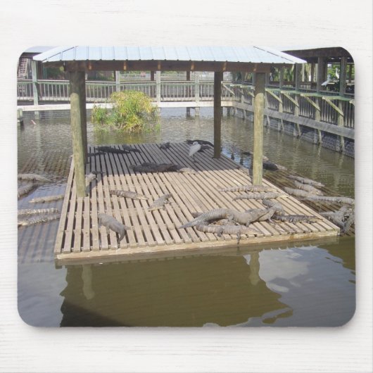 太陽マウスのパッドに乗ったワニ マウスパッド (正面)