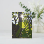 太陽光とピストン ポストカード (スタンド正面)