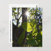 太陽光とピストン ポストカード (正面/裏面)