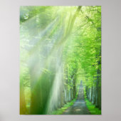 太陽光の軸 ポスター (正面)