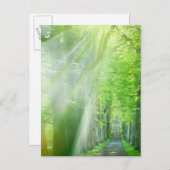 太陽光の軸 ポストカード (正面/裏面)