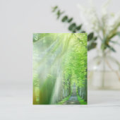 太陽光の軸 ポストカード (スタンド正面)