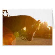 太陽光線の岩が多い制止