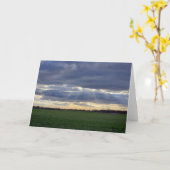 太陽光線 カード (黄色い花)