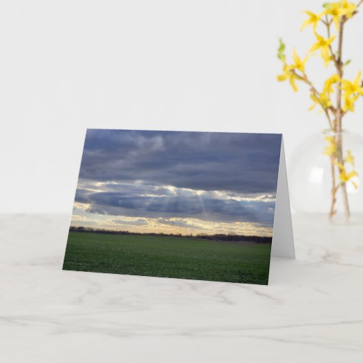 太陽光線 カード (黄色い花)