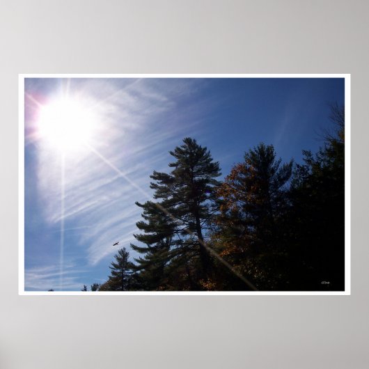 太陽光線 ポスター (正面)