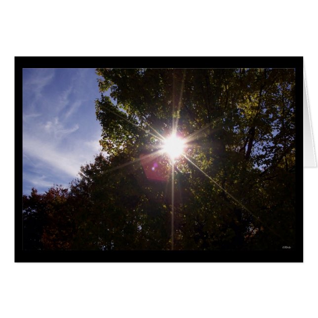 太陽光線(縁ど黒) (正面横)