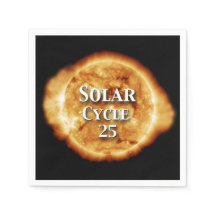 太陽周期25 活動的な太陽