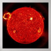 太陽太陽のから放出されるフレア ポスター (正面)