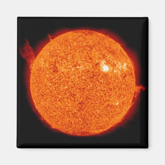 太陽太陽のの活動 マグネット (正面)