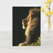 太陽来の声を聞く カード (黄色い花)