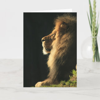 太陽来の声を聞く カード