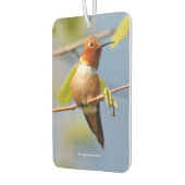 太陽素晴らしに浮かぶハチドリ カーエアーフレッシュナー (左)