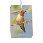 太陽素晴らしに浮かぶハチドリ カーエアーフレッシュナー (裏面)