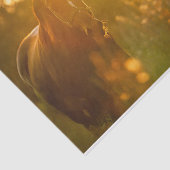 太陽素晴らし光に照らされた信じられないほど美しい馬 薄葉紙 (詳細)