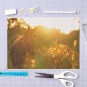 太陽素晴らし光に照らされた信じられないほど美しい馬 薄葉紙 (クラフト)