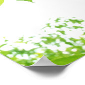 太陽葉光の中の緑の、クローズアップ ポスター (角)