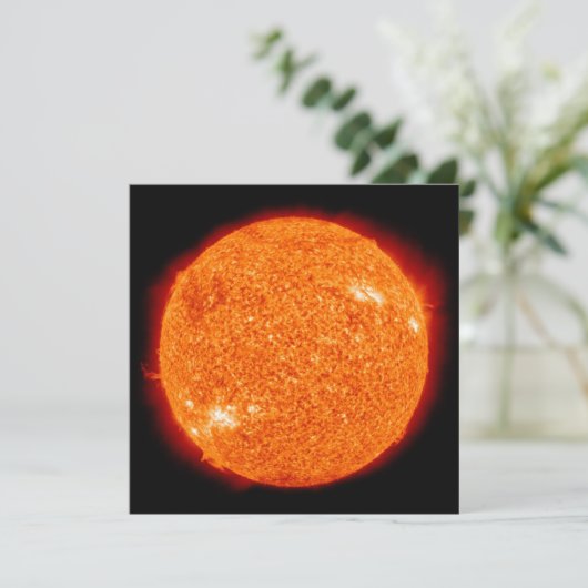 太陽 カード (スタンド正面)