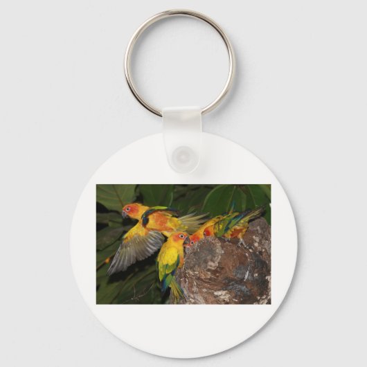 太陽 キーホルダー (正面)